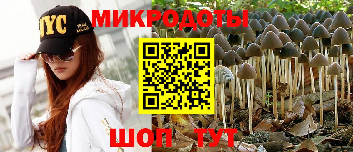 Псилоцибиновые грибы Psilocybine cubensis Артёмовский