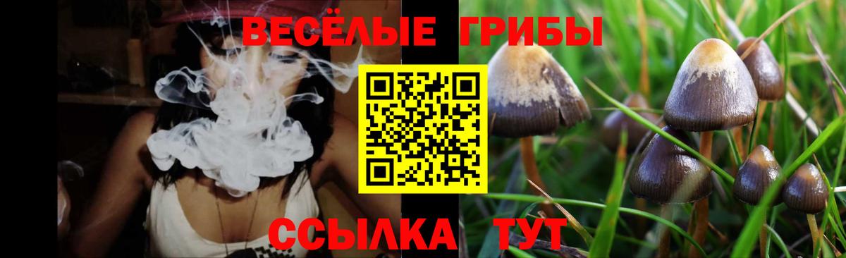 Артёмовский  Галлюциногенные грибы Magic Shrooms  Вход с VPN 
